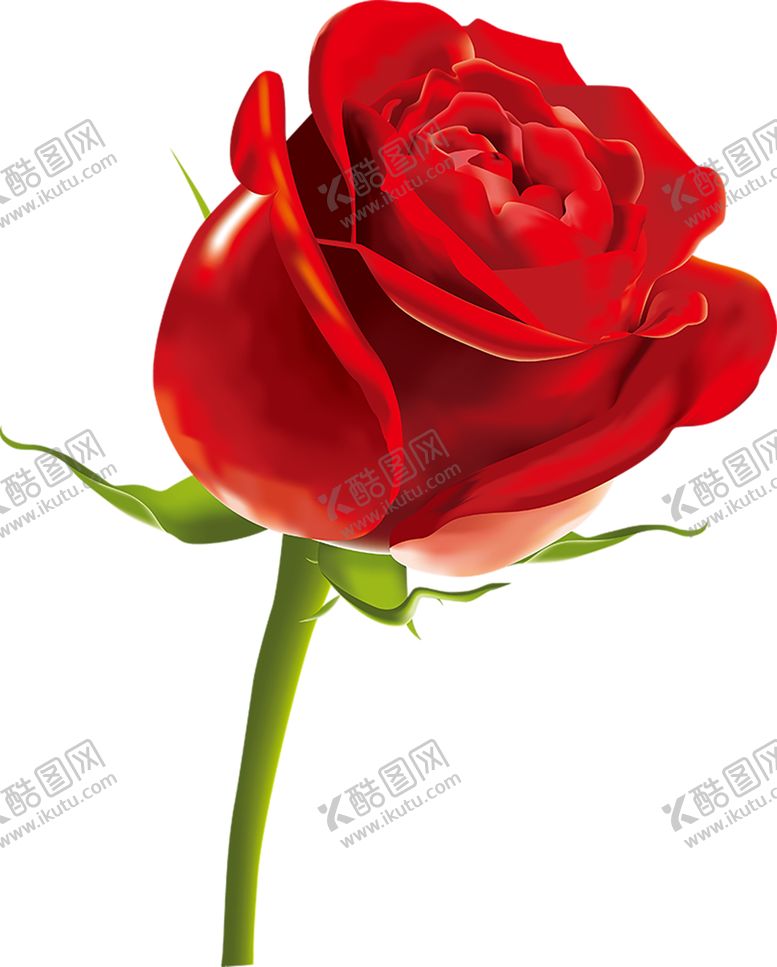 编号：93850609220001069948【酷图网】源文件下载-鲜花素材