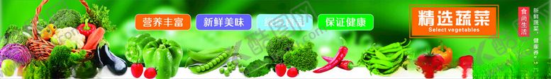 编号：29169602210555324727【酷图网】源文件下载-精选蔬菜