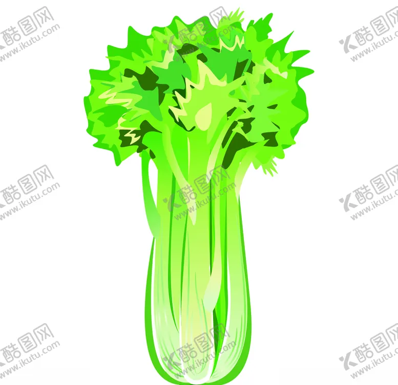 编号：93780106180225001968【酷图网】源文件下载-手绘芹菜