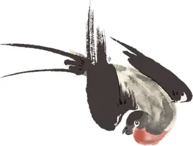 燕子素材