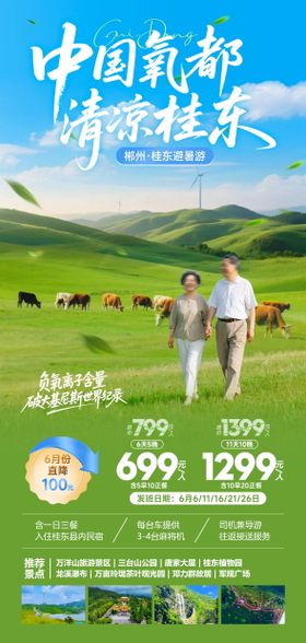 中国氧都海报