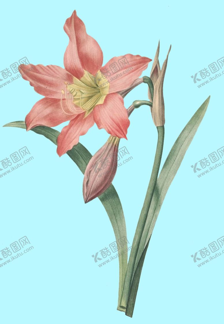 编号：30340009230733476445【酷图网】源文件下载-手绘花