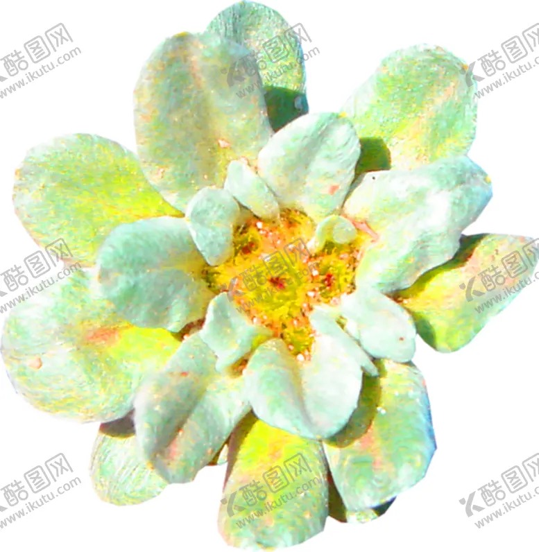 编号：37924306270135063961【酷图网】源文件下载-花素材