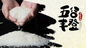 五谷丰登