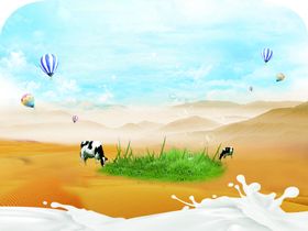 沙漠草地奶牛