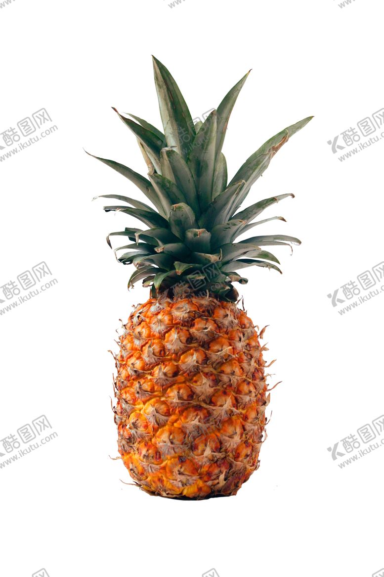 编号：35643010081805589775【酷图网】源文件下载-菠萝免扣图片