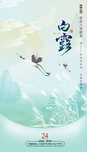 白露节气海报二十四插画芦苇