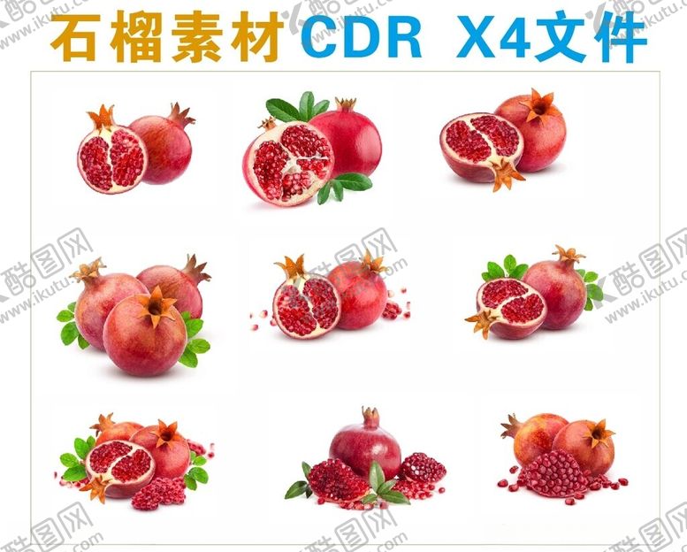 编号：64393802130256157751【酷图网】源文件下载-石榴素材