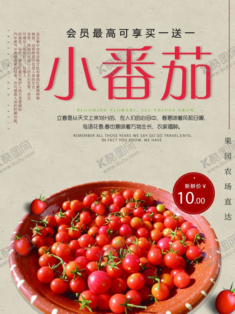 编号：21980201170555372129【酷图网】源文件下载-圣女果海报