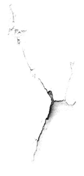 墙体裂纹