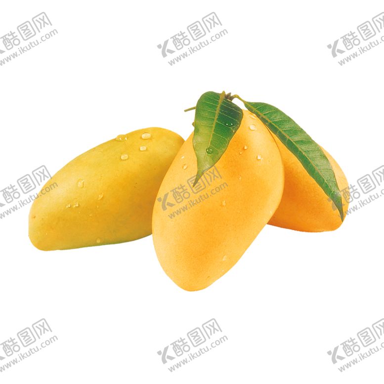 编号：60523710041501164213【酷图网】源文件下载-芒果