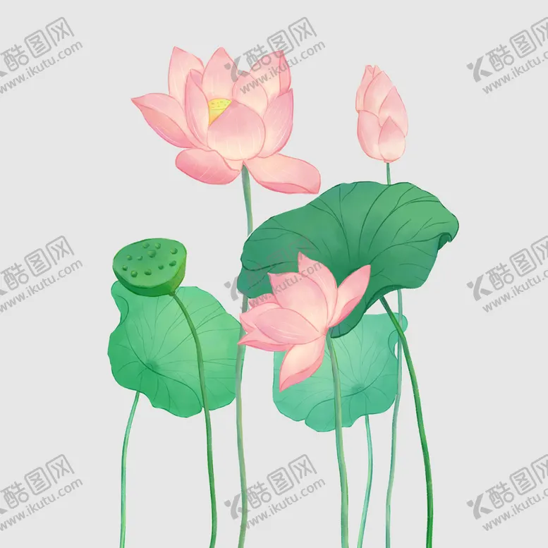 编号：71538409210224379058【酷图网】源文件下载-荷花