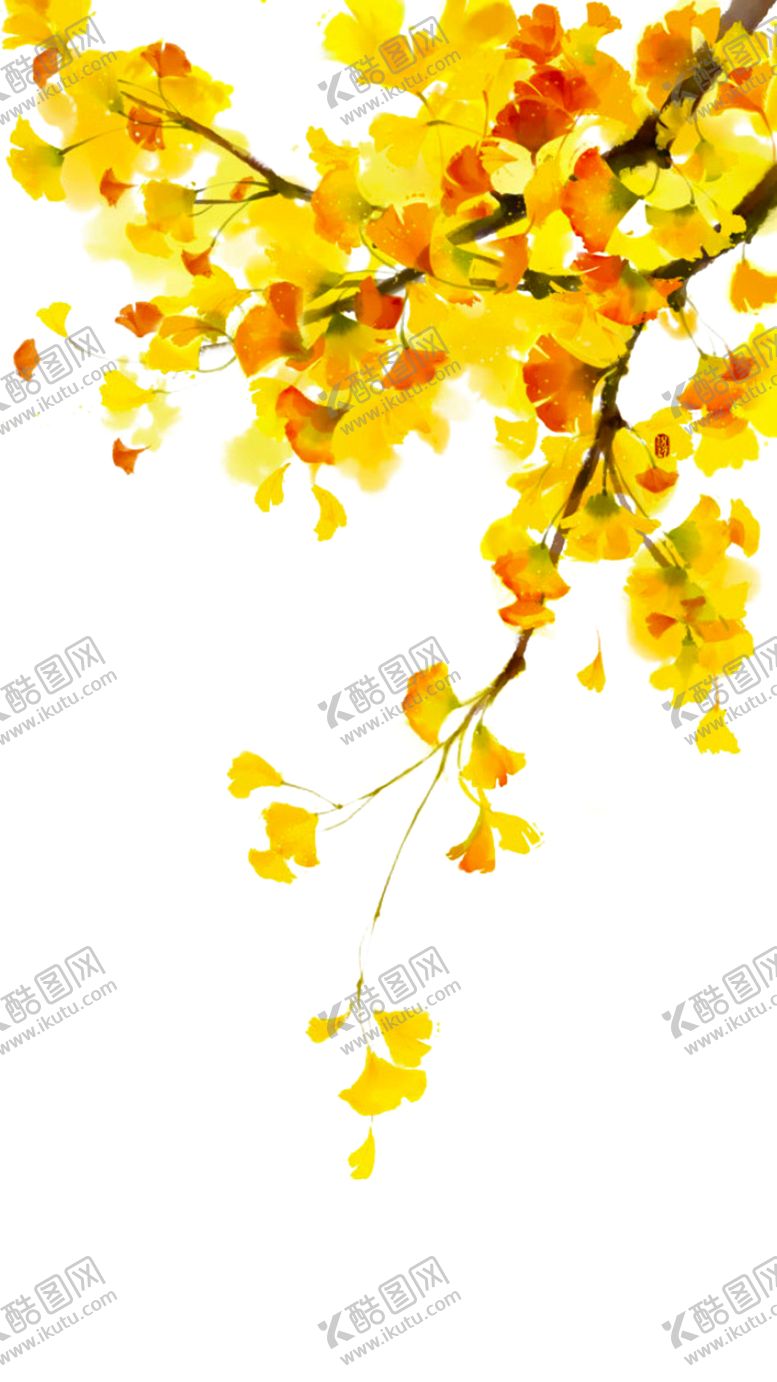 编号：61576805061810546673【酷图网】源文件下载-银杏叶