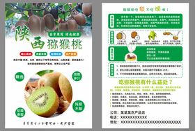 猕猴桃宣传单
