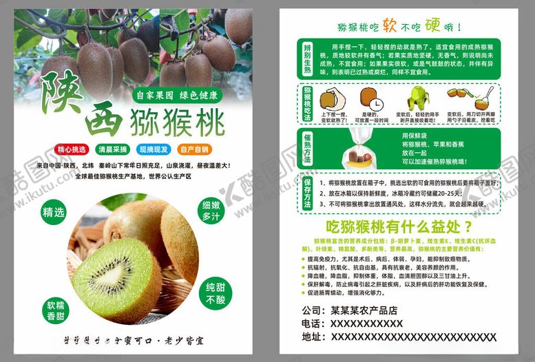 编号：26498511211532114974【酷图网】源文件下载-猕猴桃宣传单