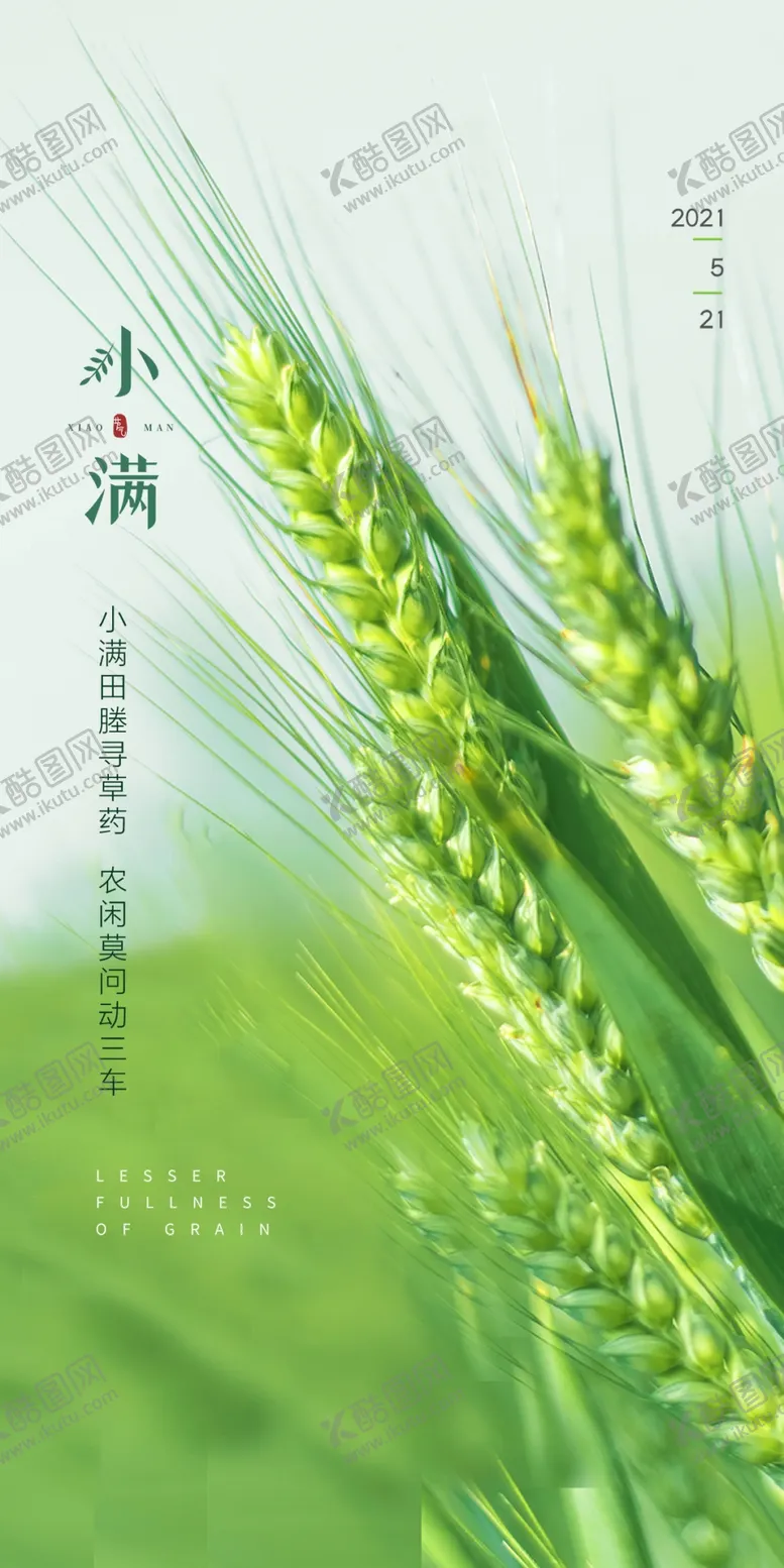 编号：57102609151635144329【酷图网】源文件下载-房地产小满初夏麦穗