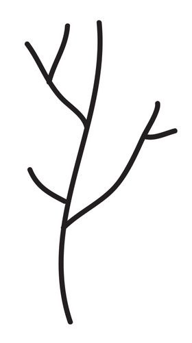 黑白手绘植物