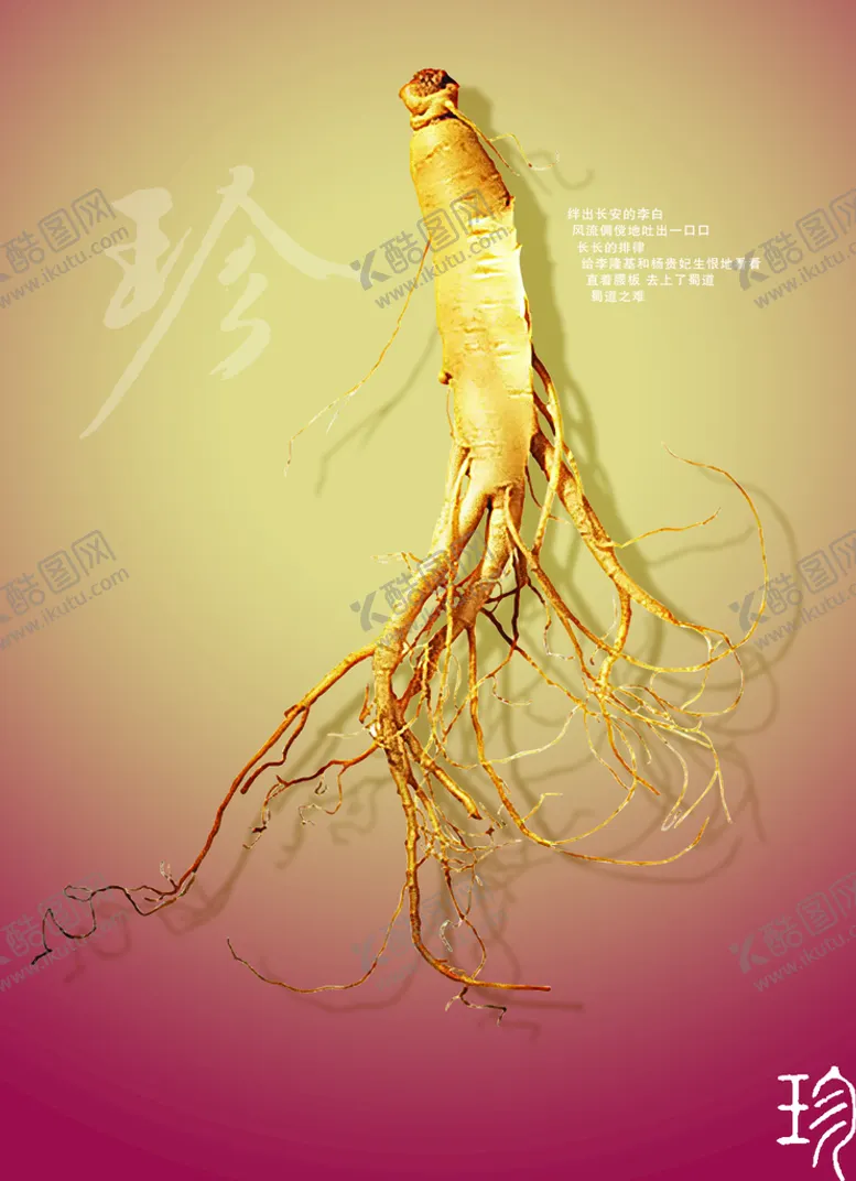 编号：15034910020452566904【酷图网】源文件下载-人参