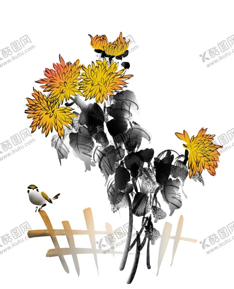 编号：54615206270148333054【酷图网】源文件下载-菊花素材