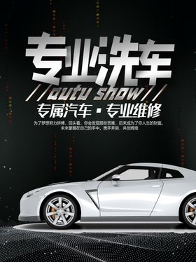 专业洗车
