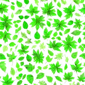 数码印花大牌童装手绘叶子