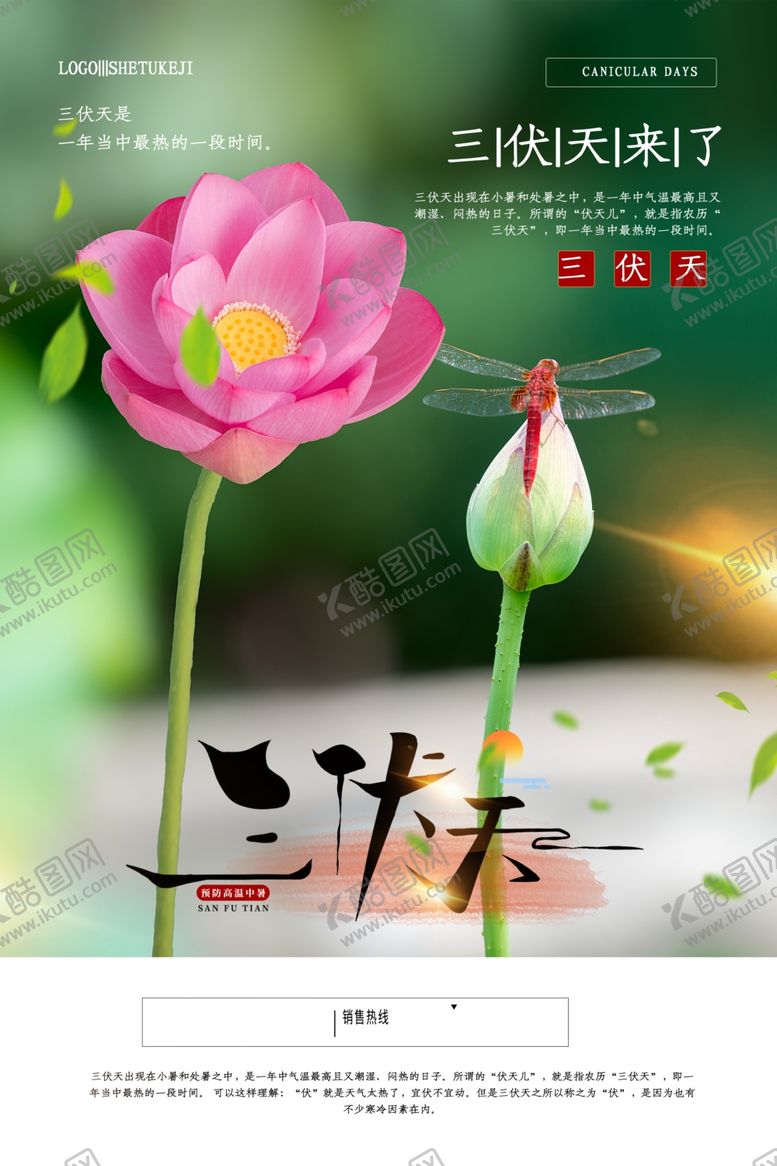 编号：83280105071446028733【酷图网】源文件下载-三伏天海报