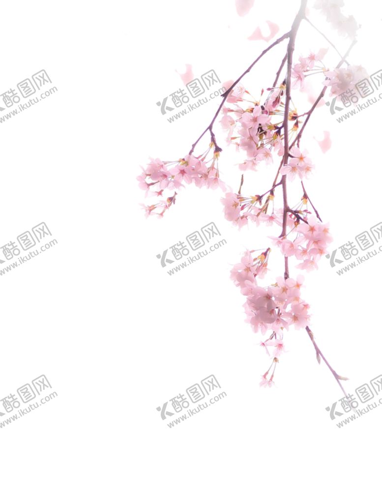 编号：46478710030533524363【酷图网】源文件下载-传统古风水墨花