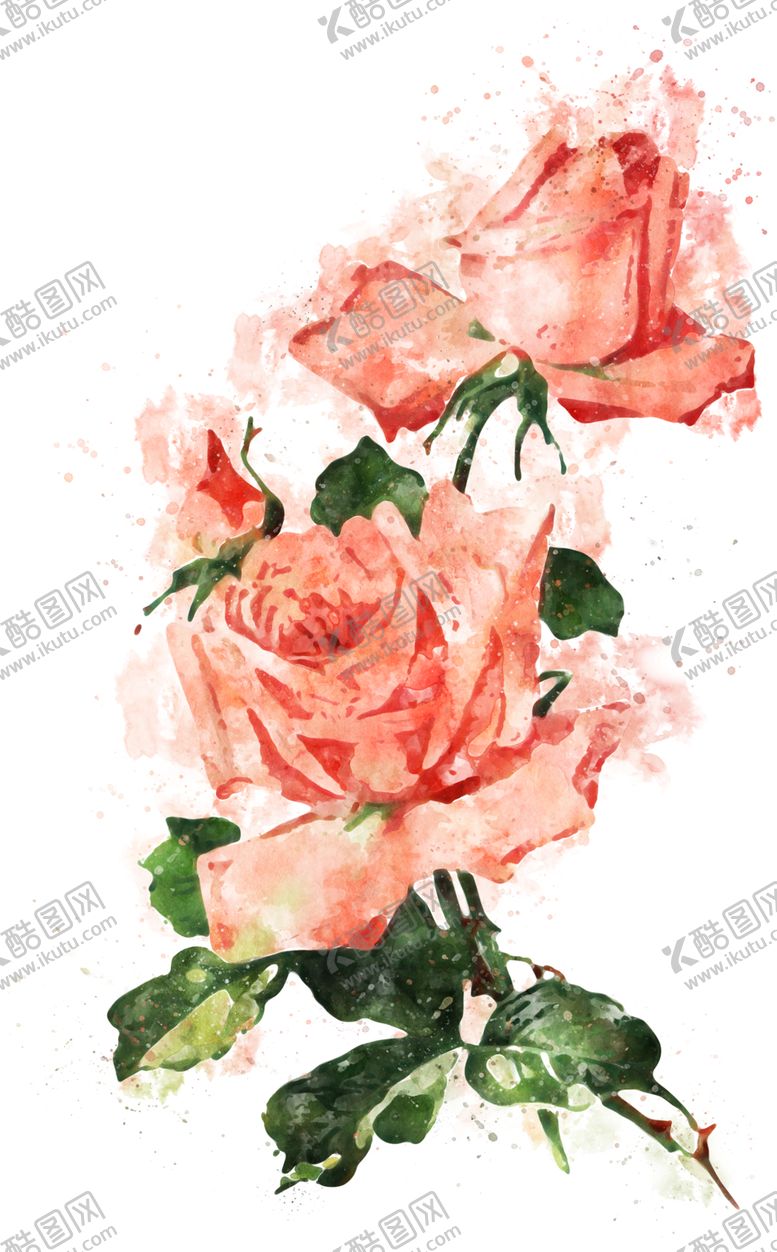 编号：84418409141353213904【酷图网】源文件下载-手绘花卉