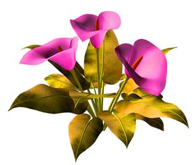 鲜花素材百合朵勿忘我