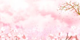 樱花节