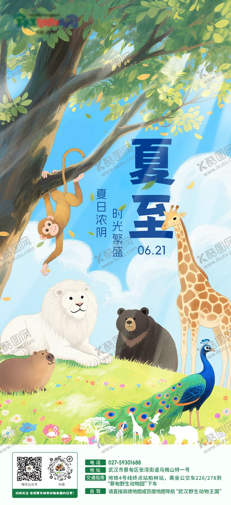 编号：42505506231552564763【酷图网】源文件下载-夏至节气海报