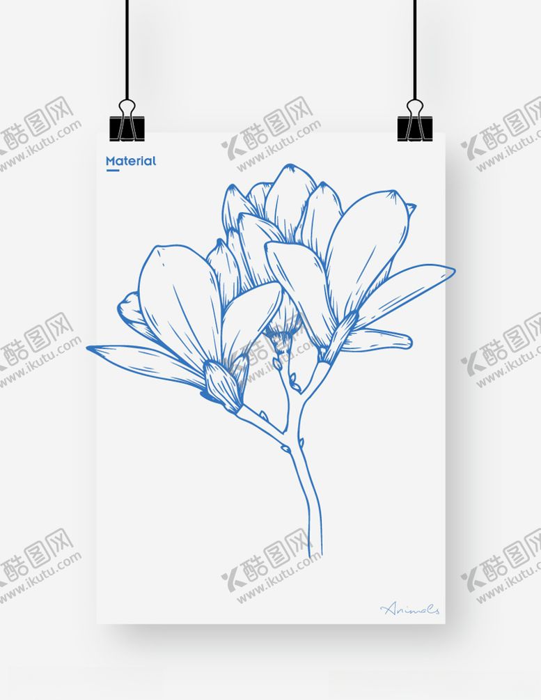 编号：55571907140023196603【酷图网】源文件下载-百合花