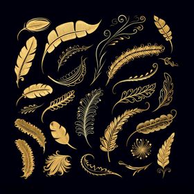 金色羽毛装饰图案集合