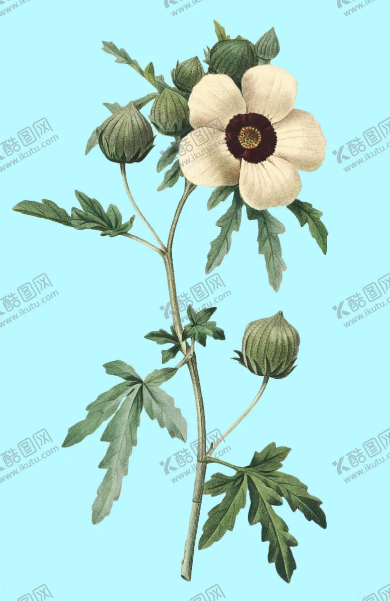 编号：35065406271957295213【酷图网】源文件下载-手绘花朵