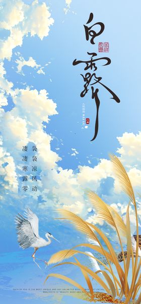 二十四节气海报 白露海报