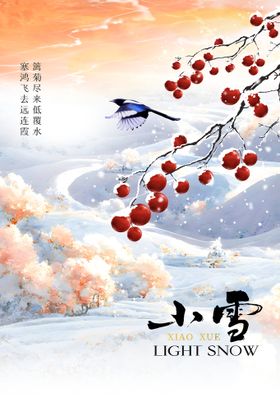 小雪节气素材活动