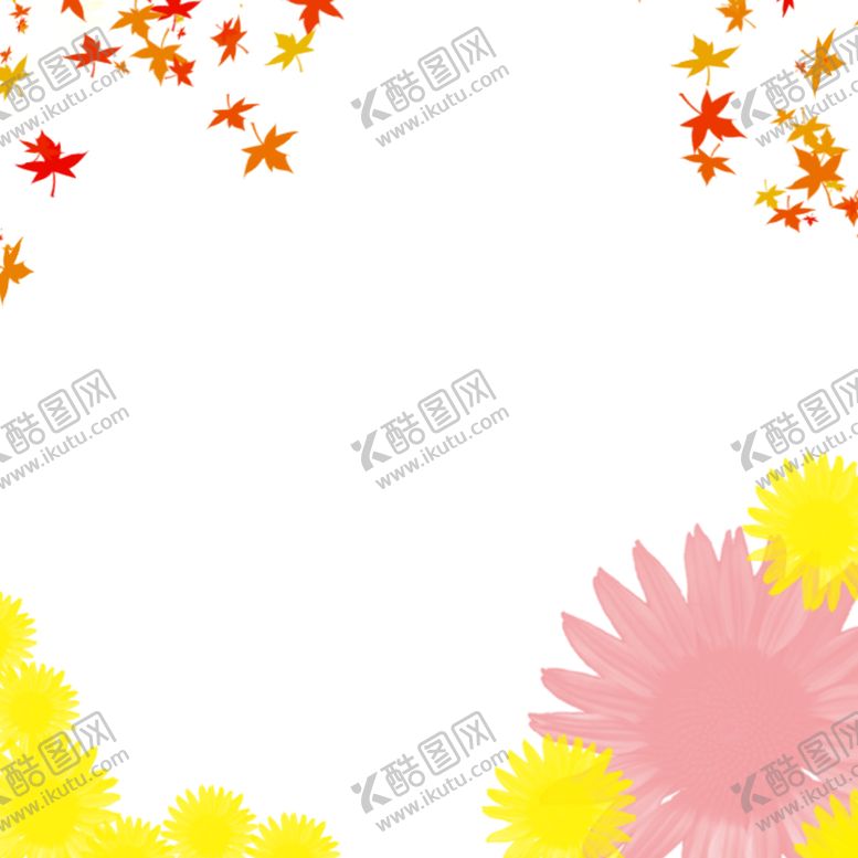 编号：92408706280404134241【酷图网】源文件下载-菊花枫叶