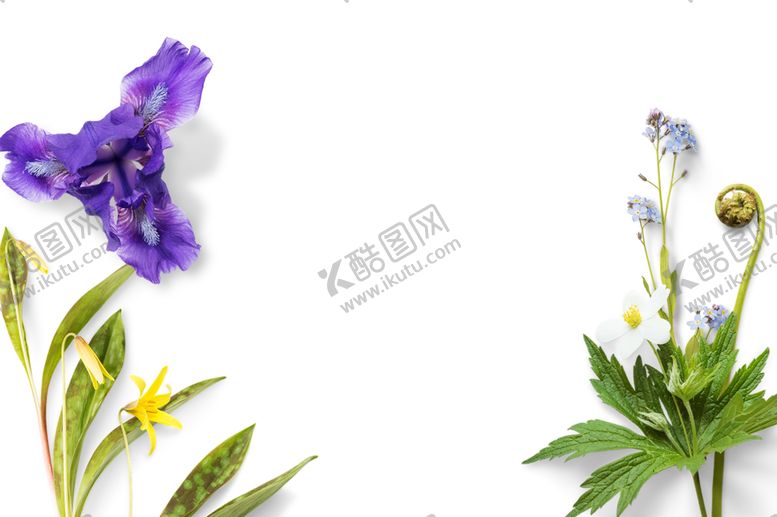 编号：12293209161231485975【酷图网】源文件下载-边框相框