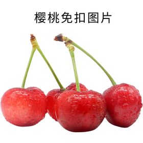 樱桃素材