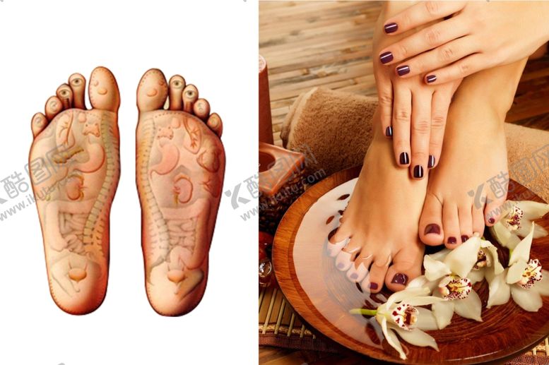 编号：20976710270719584447【酷图网】源文件下载-脚泡脚中医养生