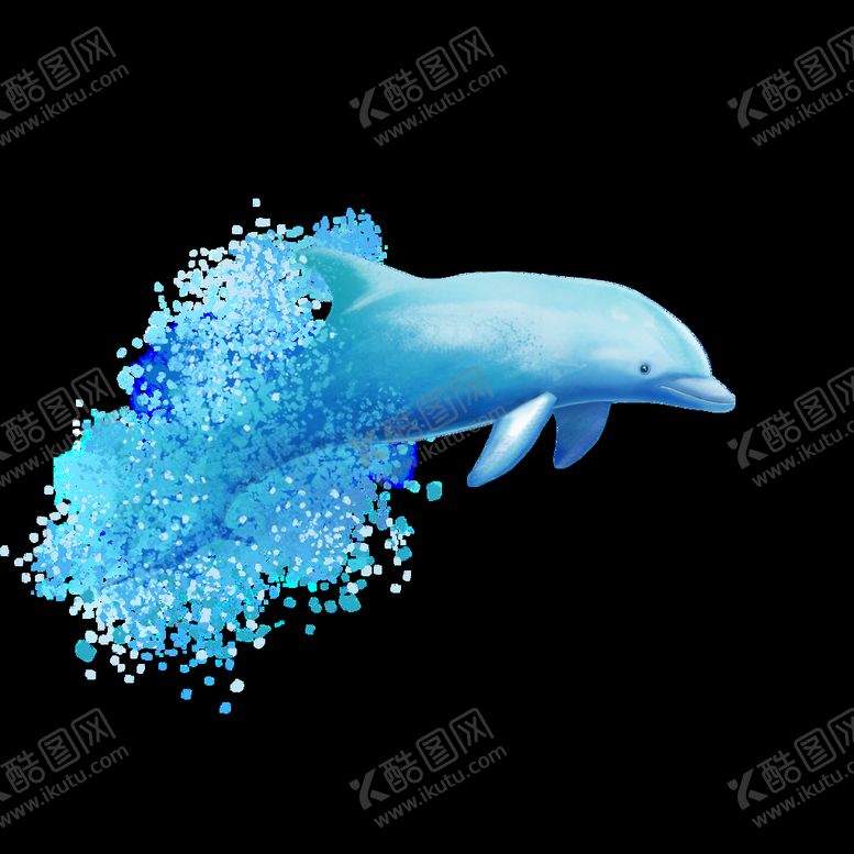 编号：97593311221215005022【酷图网】源文件下载-海豚插画素材