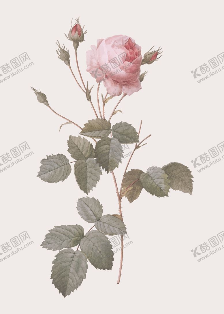 编号：47406810111131579717【酷图网】源文件下载-花纹