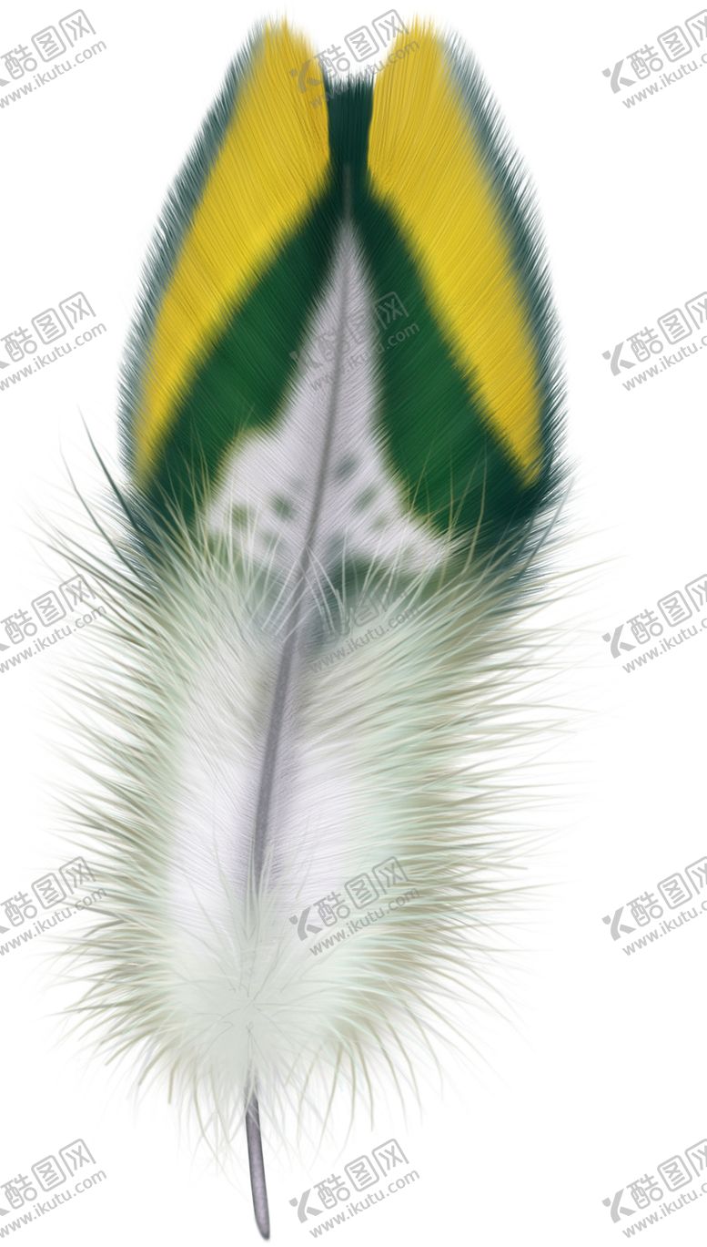 编号：95869409132133456938【酷图网】源文件下载-羽毛元素