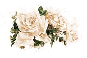 手绘花卉