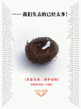 关爱生命保护动物