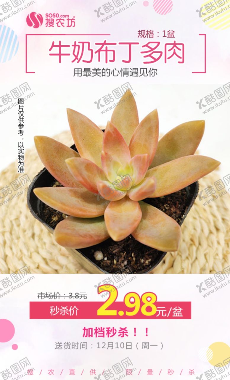 编号：70818604260443561584【酷图网】源文件下载-牛奶布丁多肉秒杀