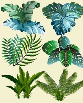 植物插画矢量素材