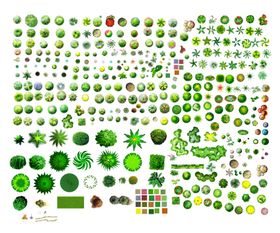 景观绿化园林植物剖立面