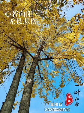 立秋