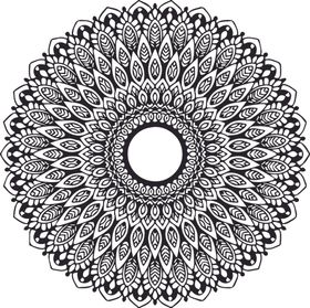 曼陀罗花纹